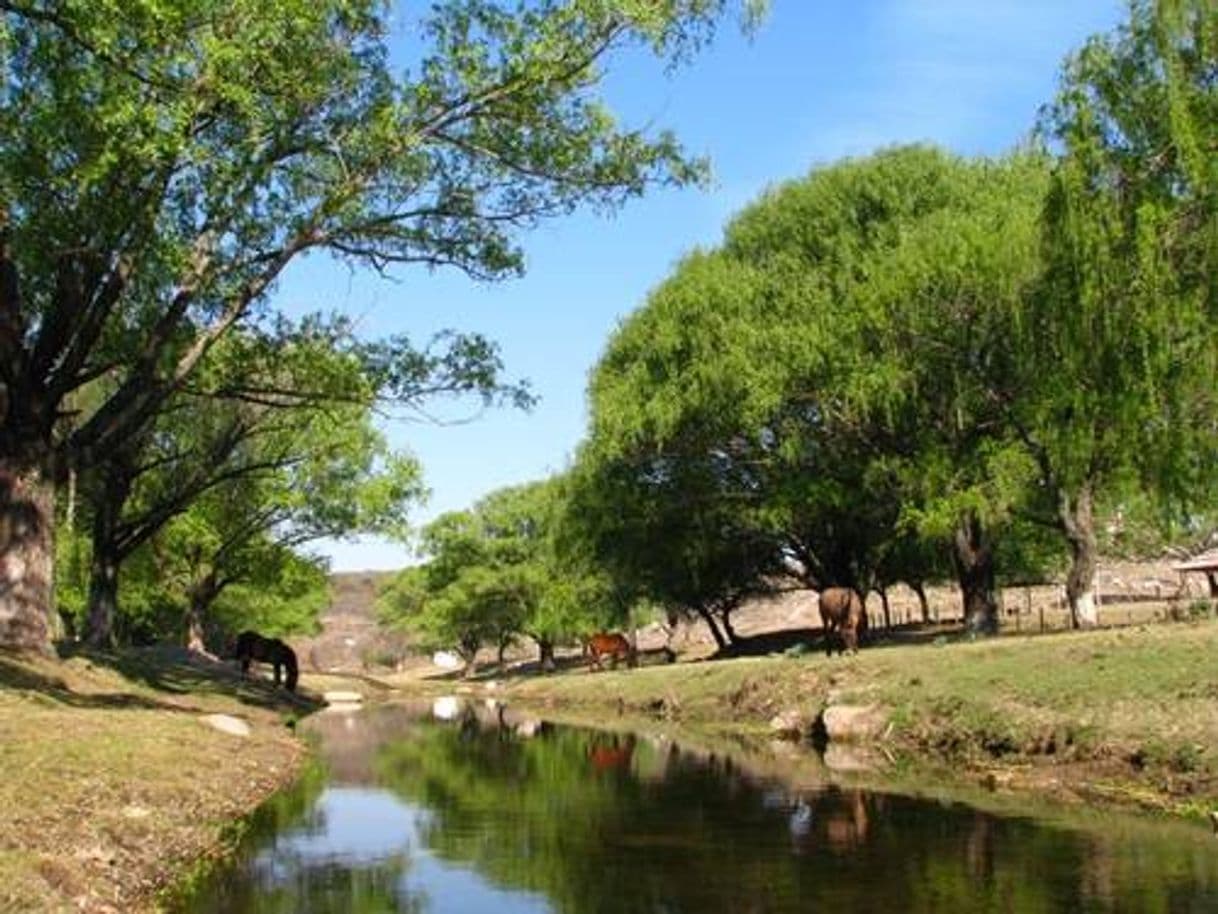 Lugar Parque Nacional Copo