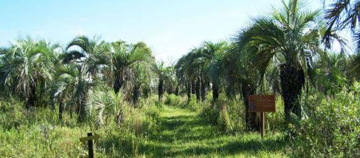 Lugar Parque Nacional Mburucuyá