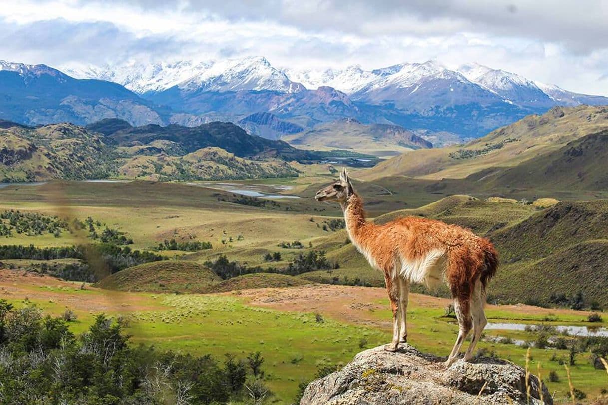 Lugar Parque Nacional Patagonia