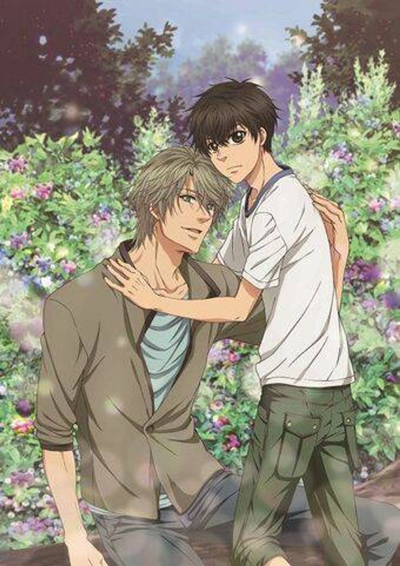 Serie SUPER LOVERS