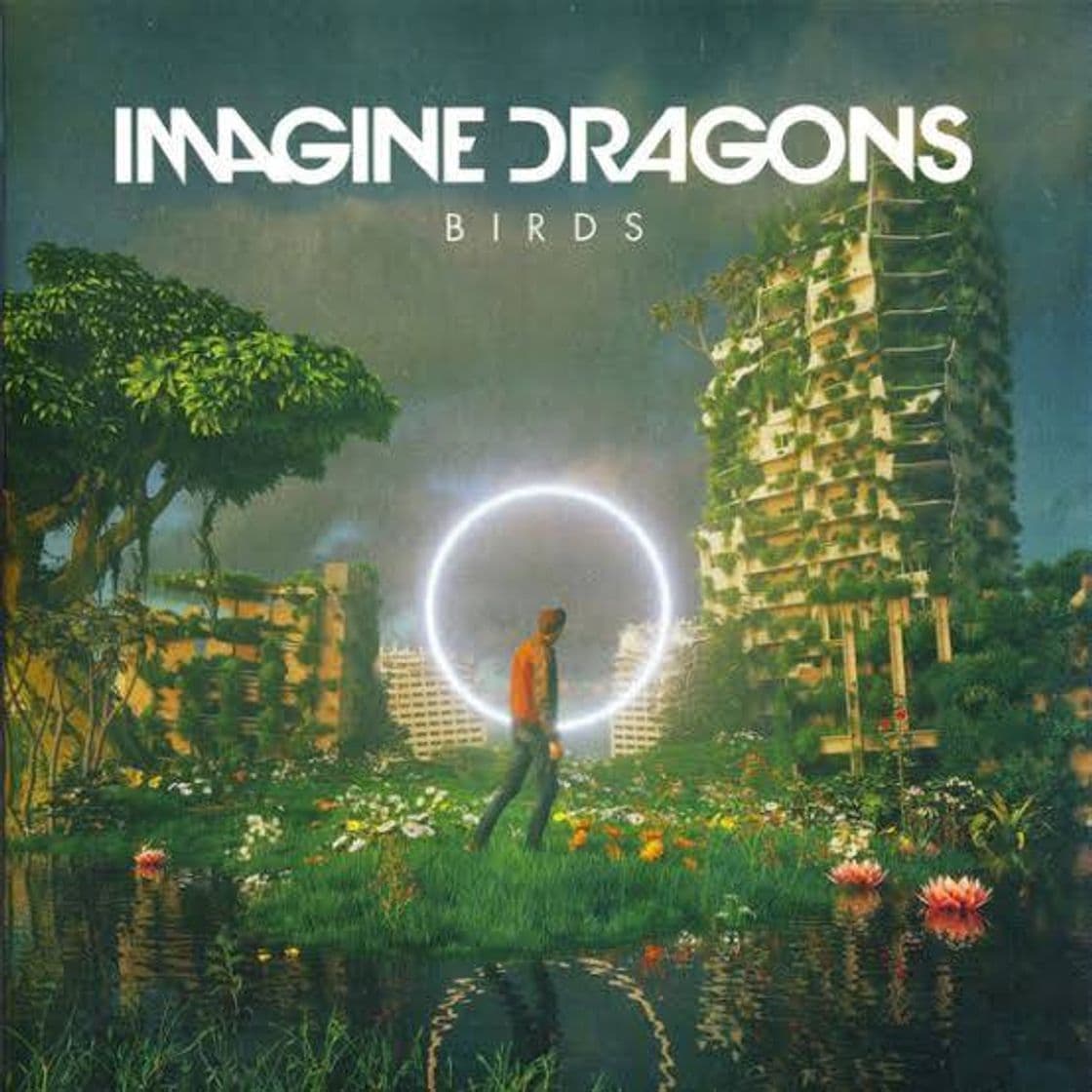 Canción Birds - Imagine Dragons 