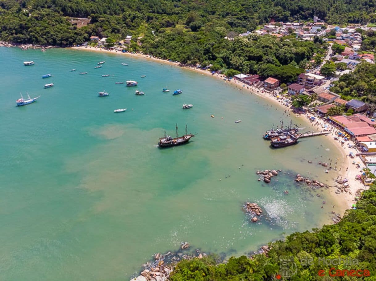 Lugar Praia Baia dos Golfinhos