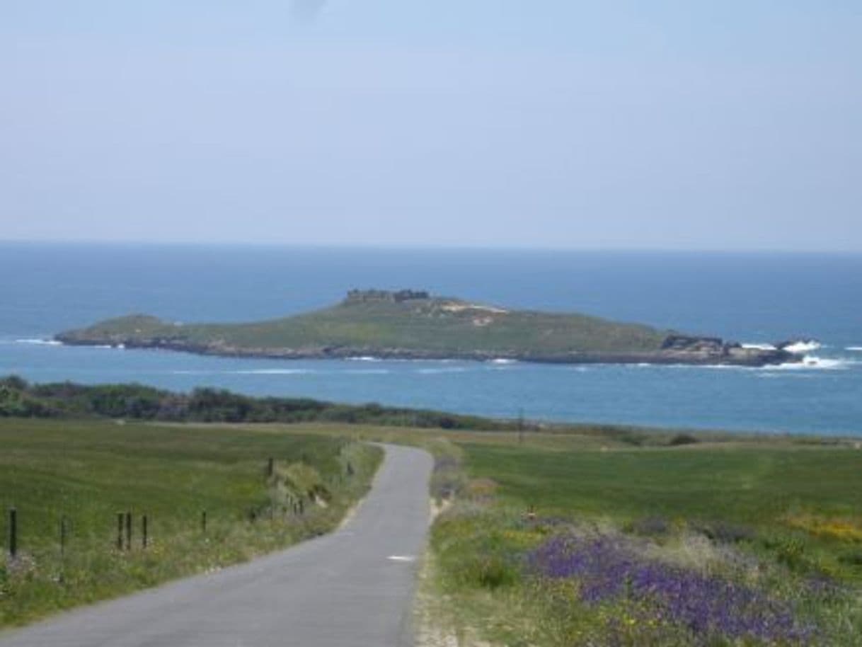 Place Ilha do Pessegueiro