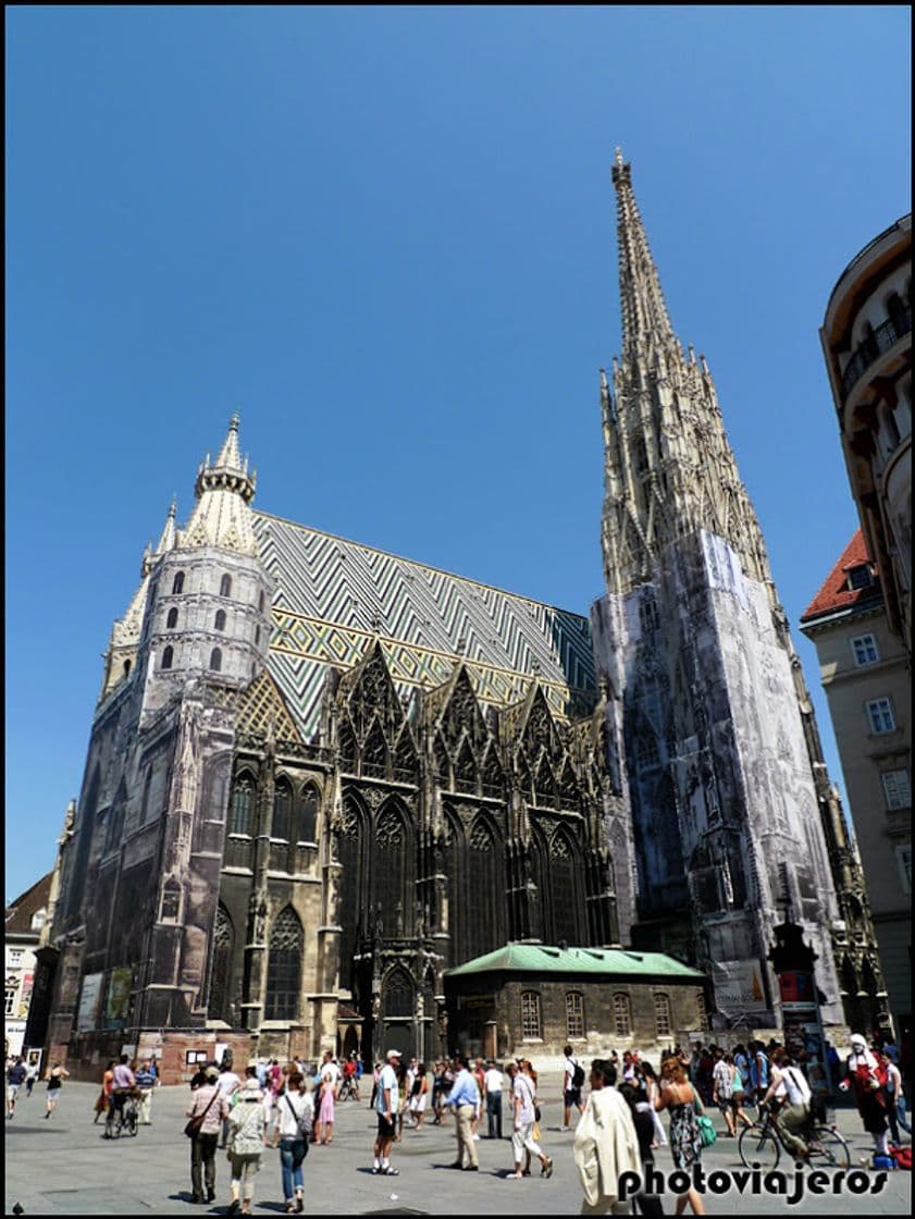 Lugar Catedral de Viena