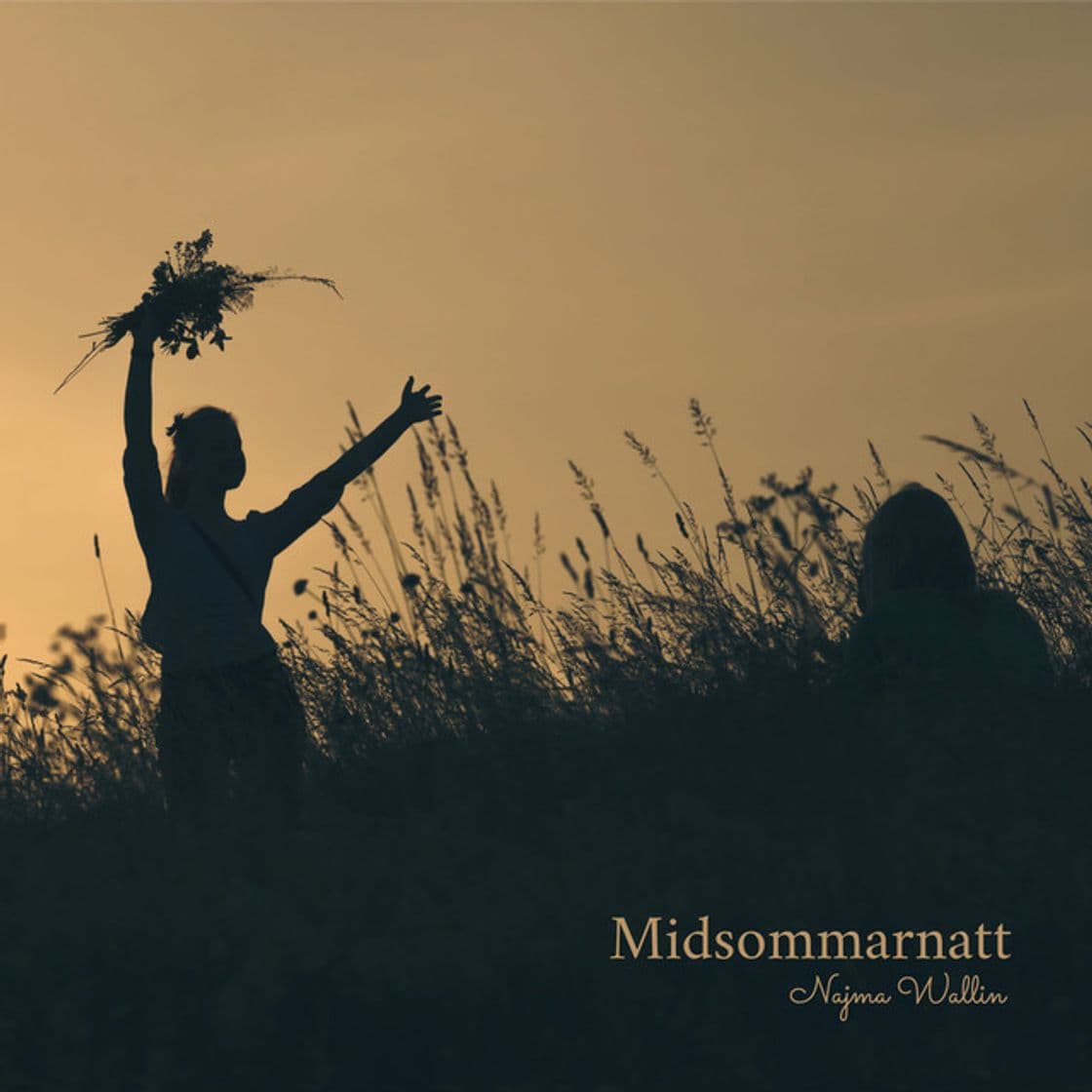 Canción Midsommarnatt