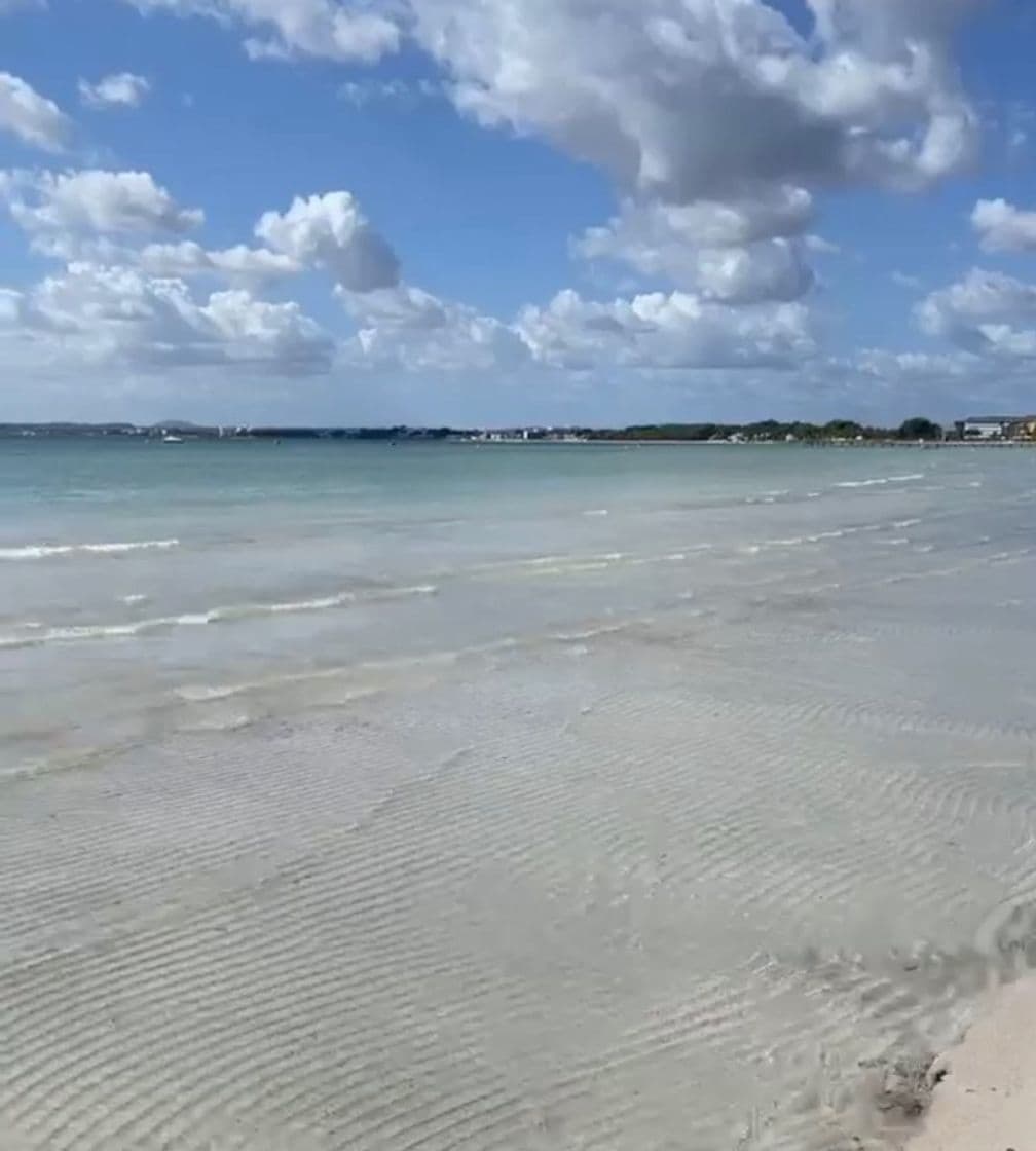 Place Playa de Alcudia (Port d'Alcudia) 