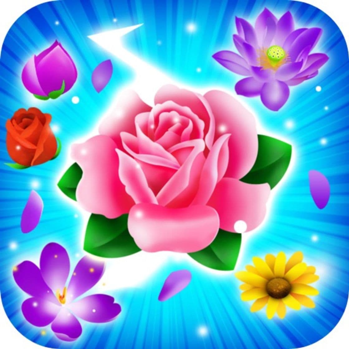 App Flower Blash: Hit Blossoom Mania