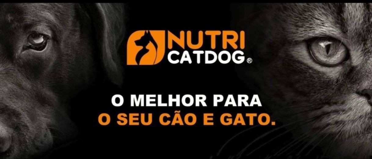 Moda Nutricatdog