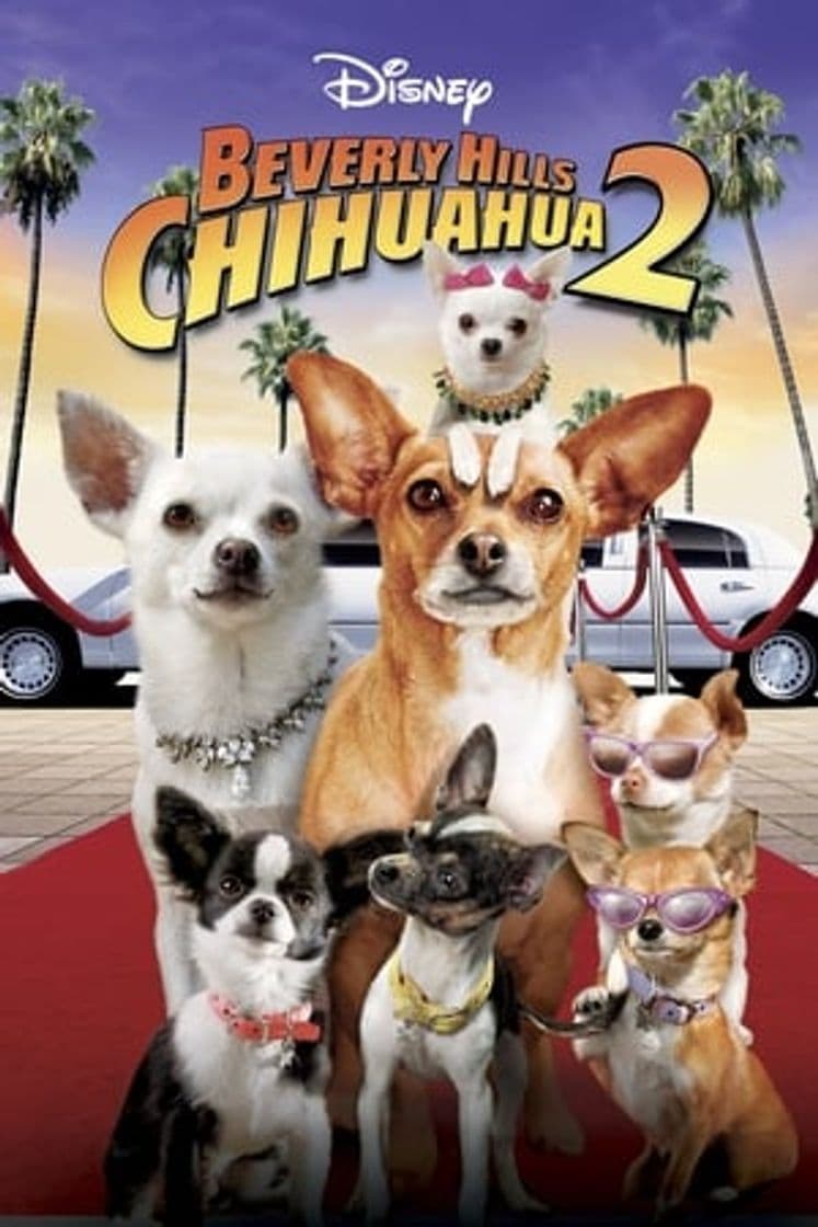 Movie Beverly Hills Chihuahua 2