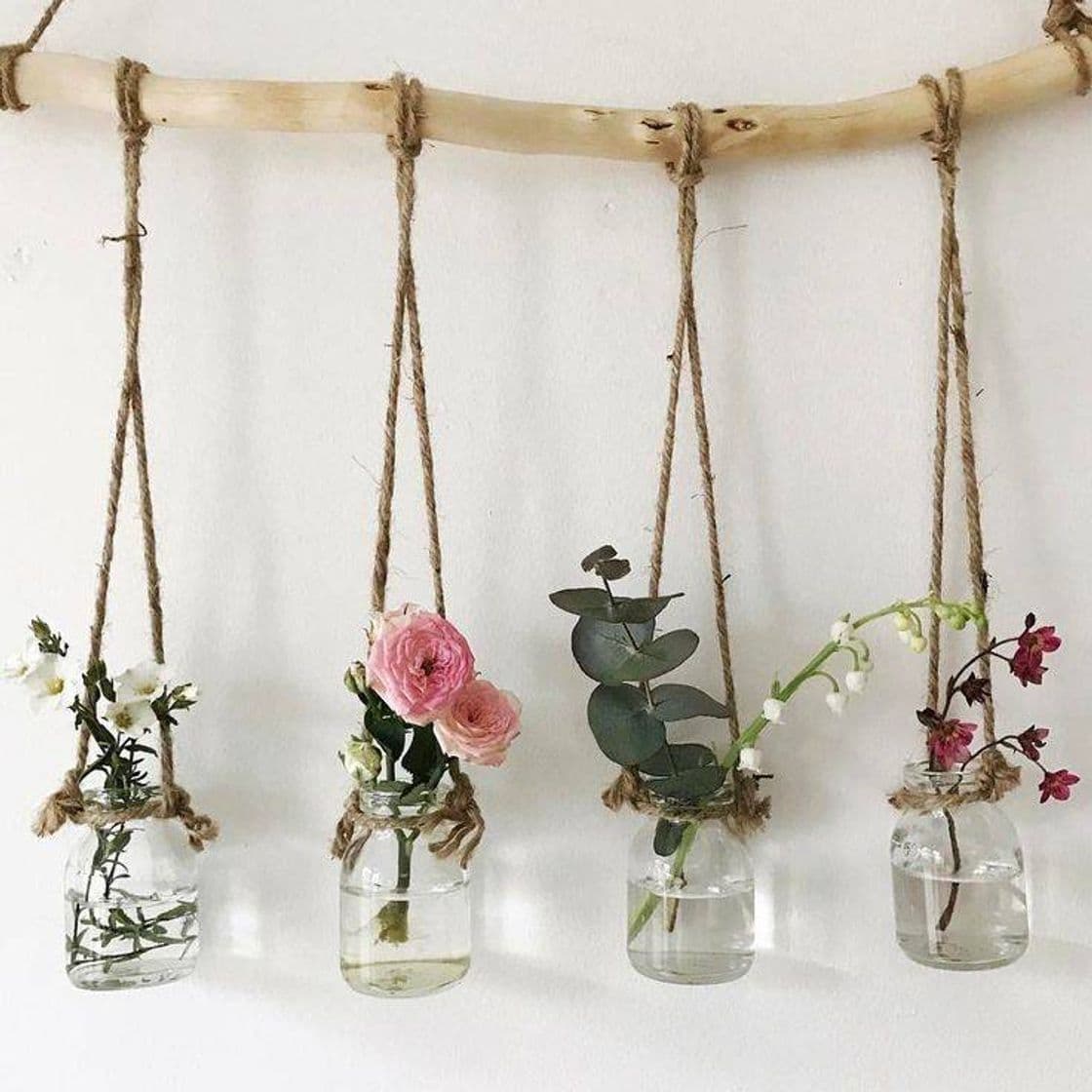 Fashion DECORAÇÃO PLANTINHAS.🌱💚