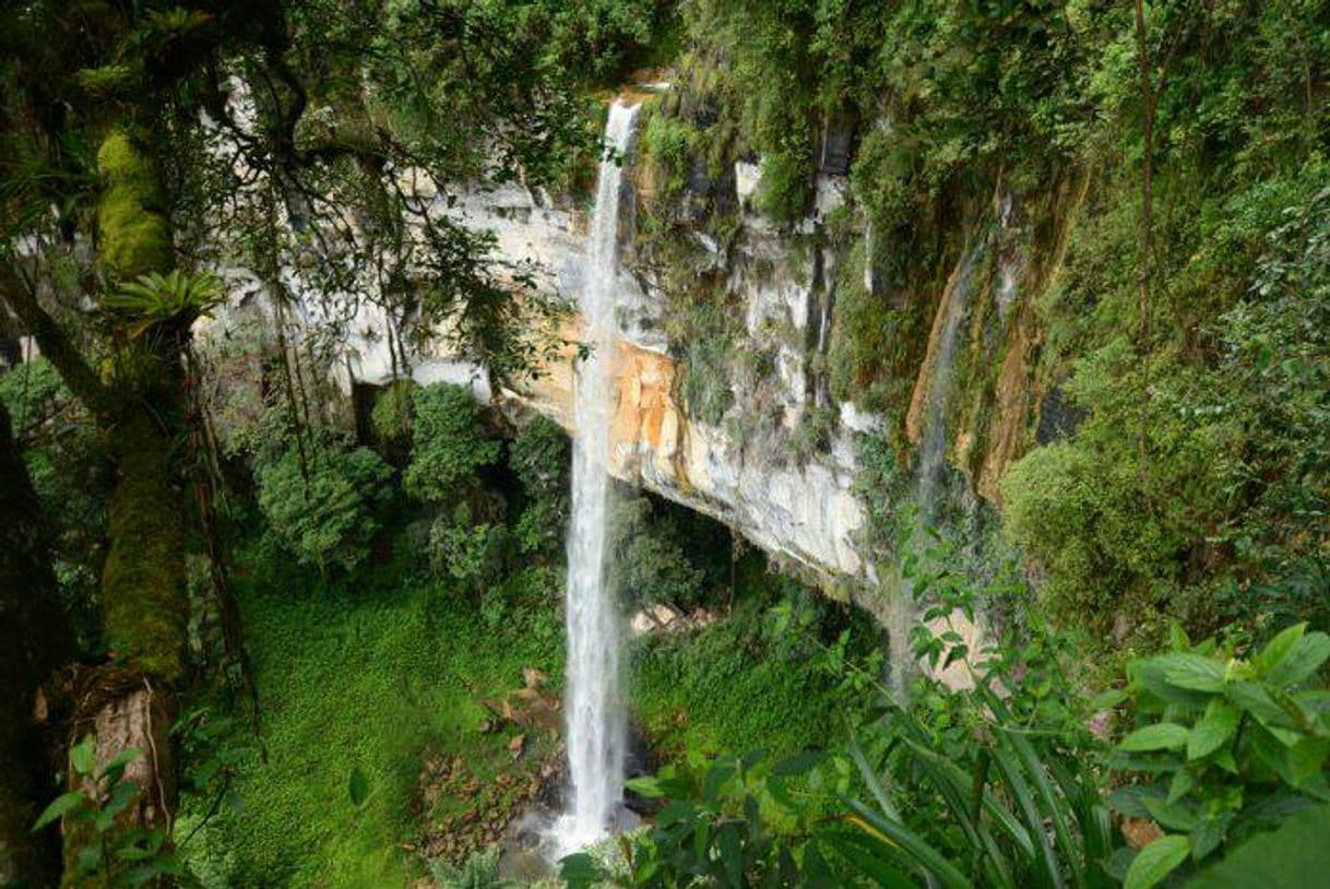 Lugar Catarata de Yumbilla