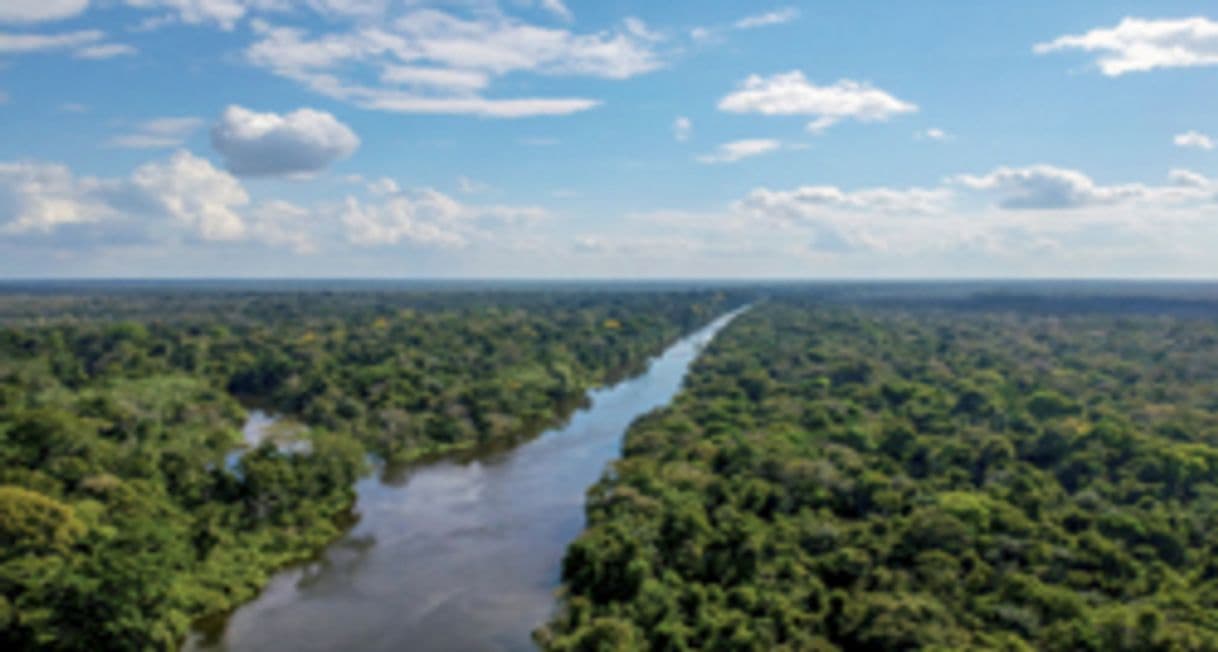 Lugar Reserva Natural do Suriname Central

