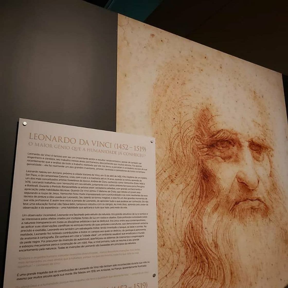 Fashion Leonardo Da Vinci 