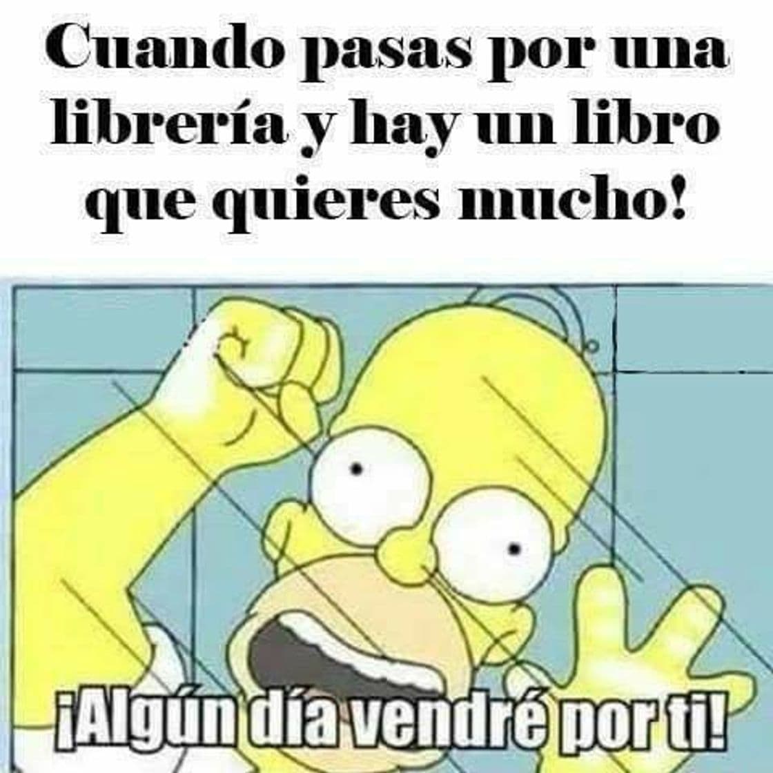 Moda Memes literarios 