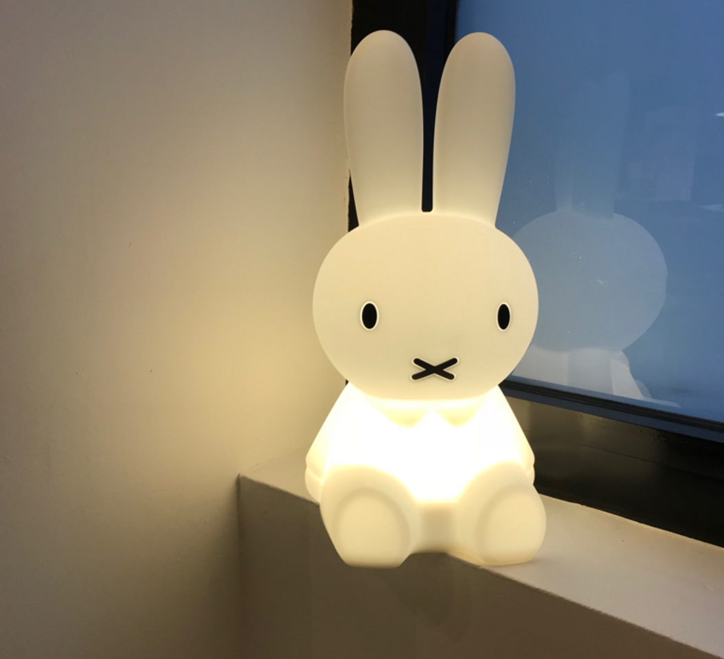 Product Miffy my first light 