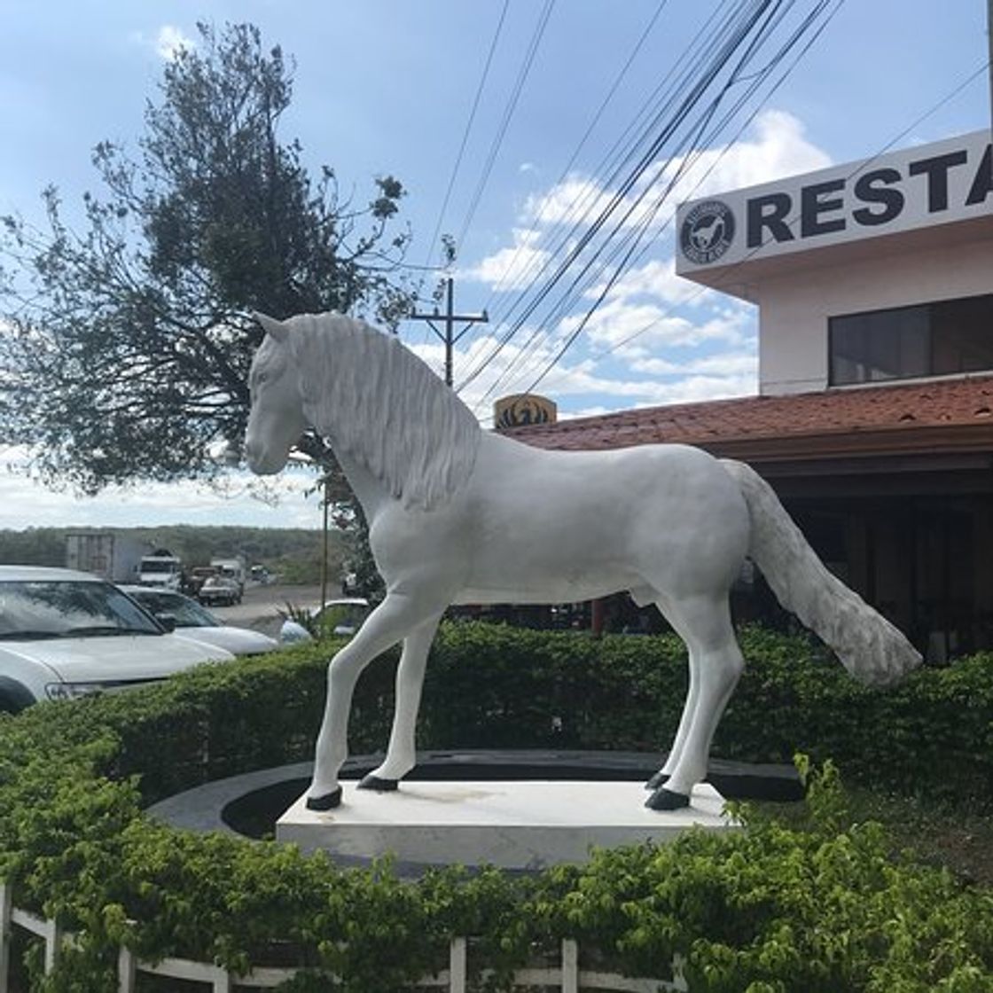 Restaurantes Restaurante Caballo Blanco