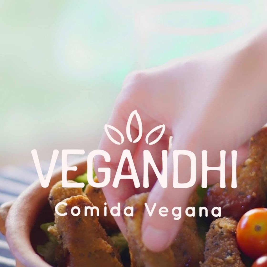 Restaurantes Vegandhi │ Productos veganos congelados