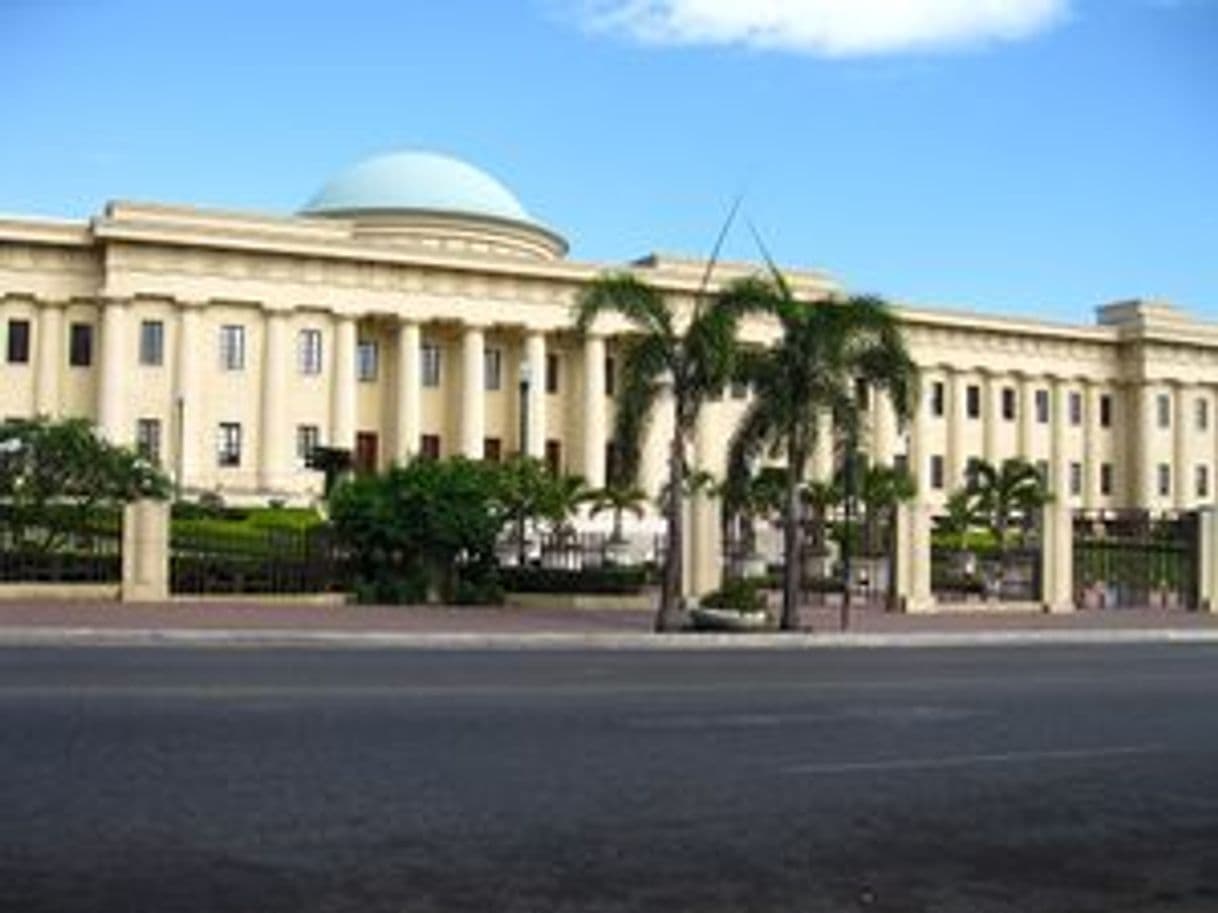 Lugar Palacio de Bellas Artes Freddy Beras-Goico