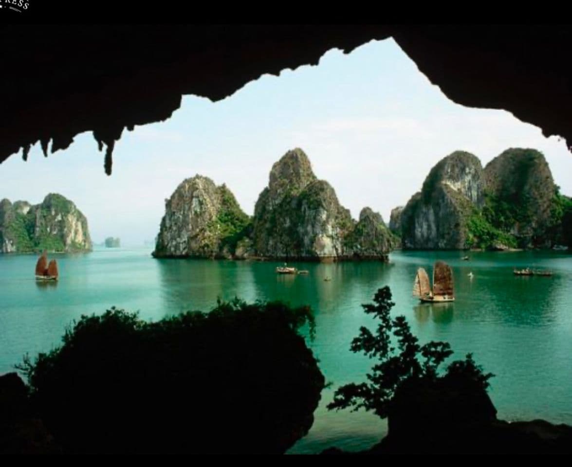 Lugar Halong Bay Vietnam