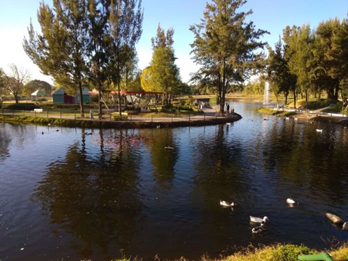 Lugar Parque Metropolitano