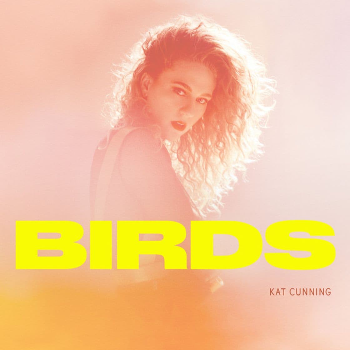 Canción Birds