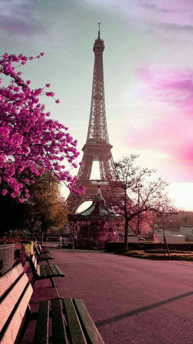 Moda Torre Eifel 