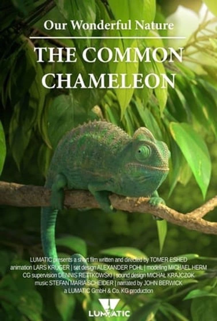 Película Our Wonderful Nature - The Common Chameleon