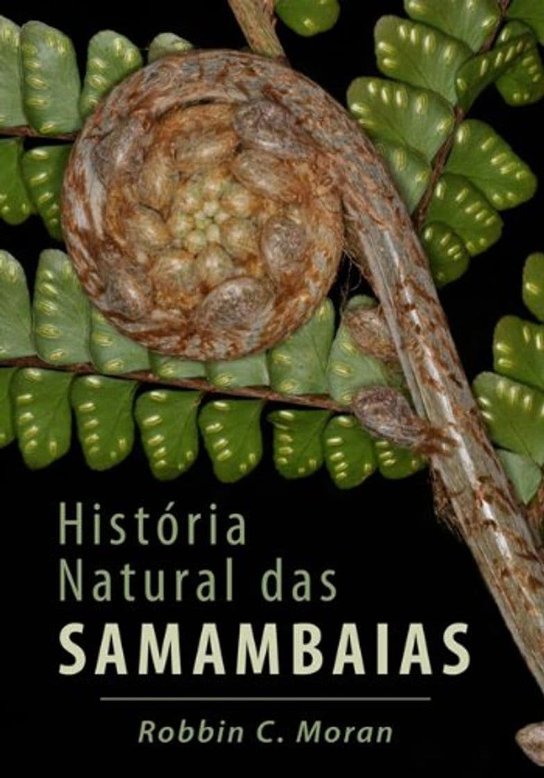 Producto Historia Natural Das Samambaias