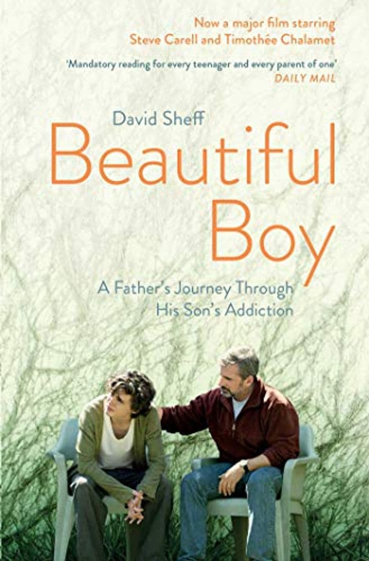 Book Beautiful Boy: A Father's Journey Through His Son's  Addiction