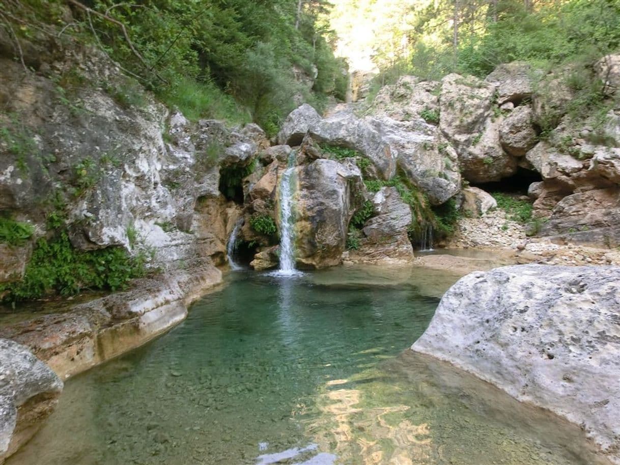 Lugar Els gorgs de la febró