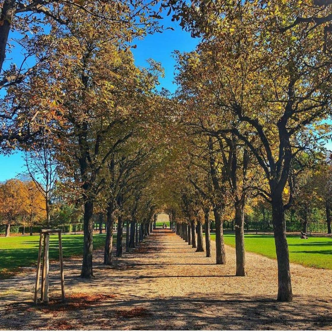 Lugar Augarten