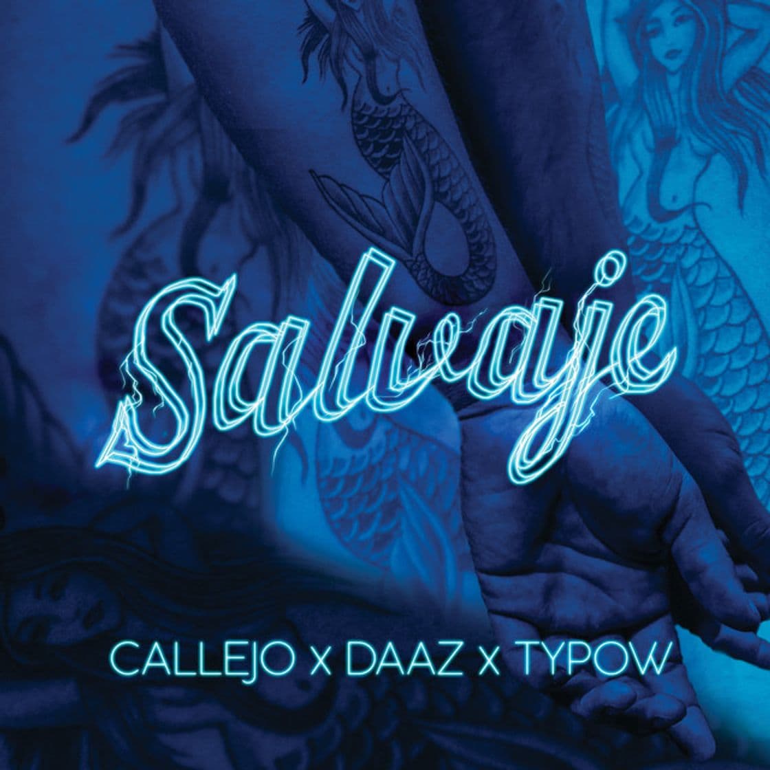 Canción Salvaje