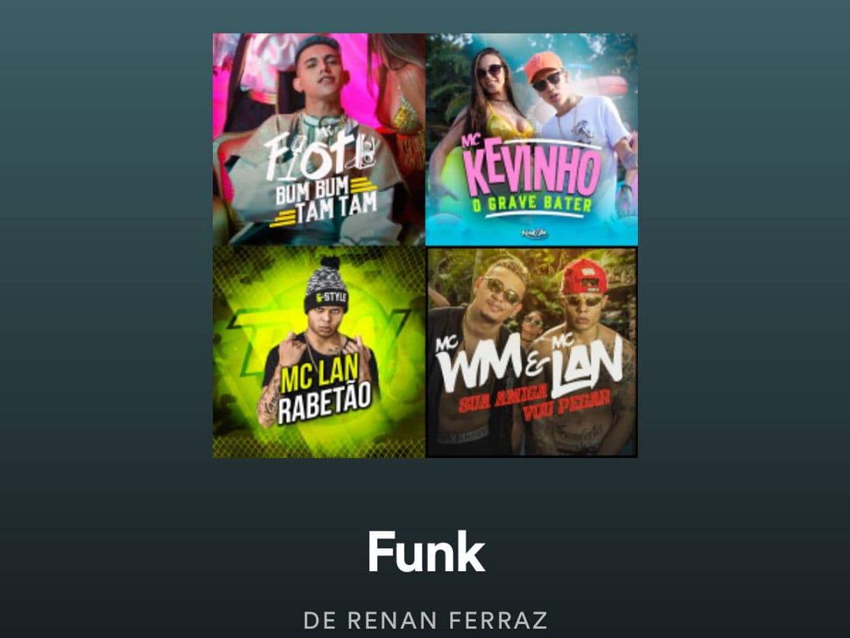 Fashion Minha Playlist de Funk💥🎤