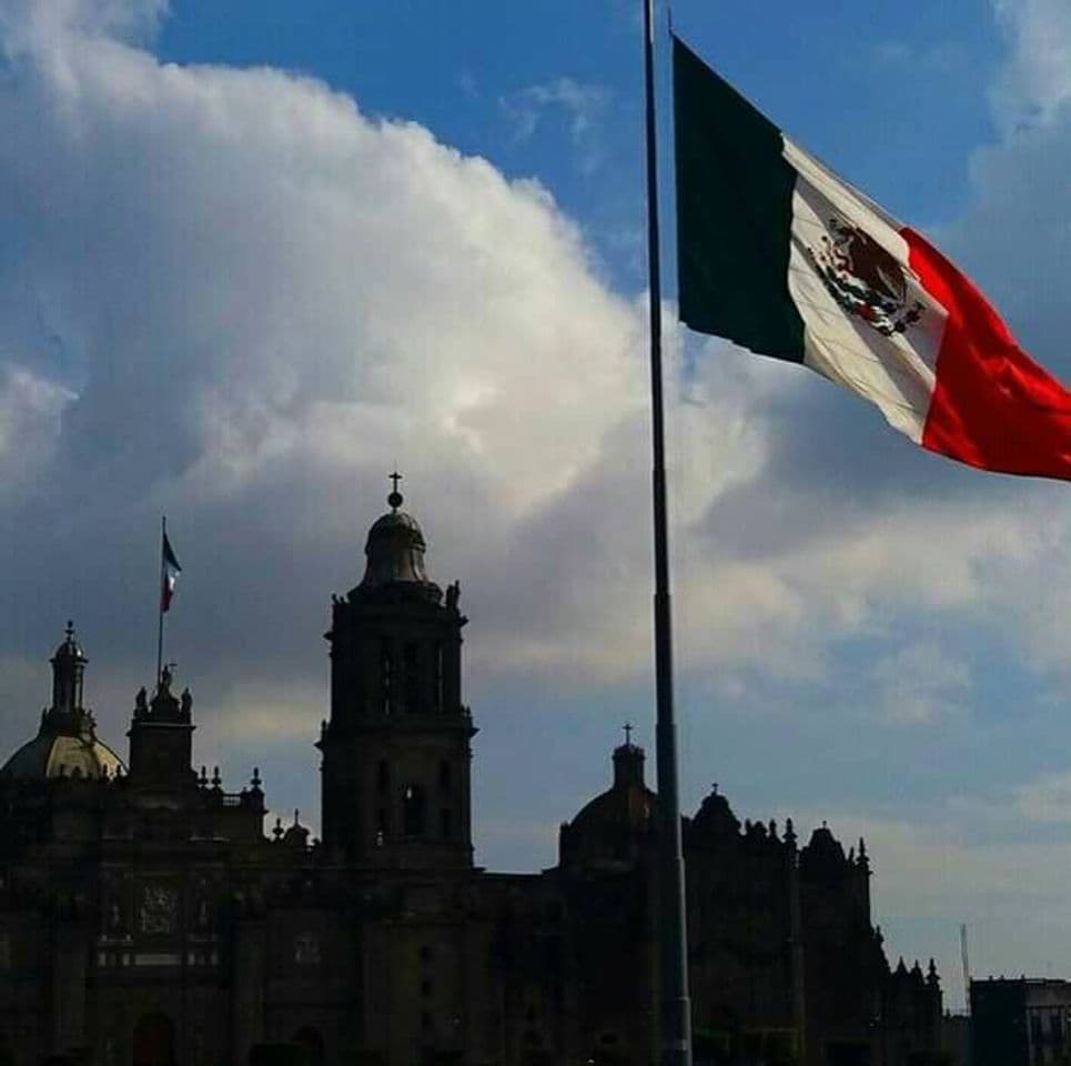 Place Catedral Metropolitana de la Asunción de María