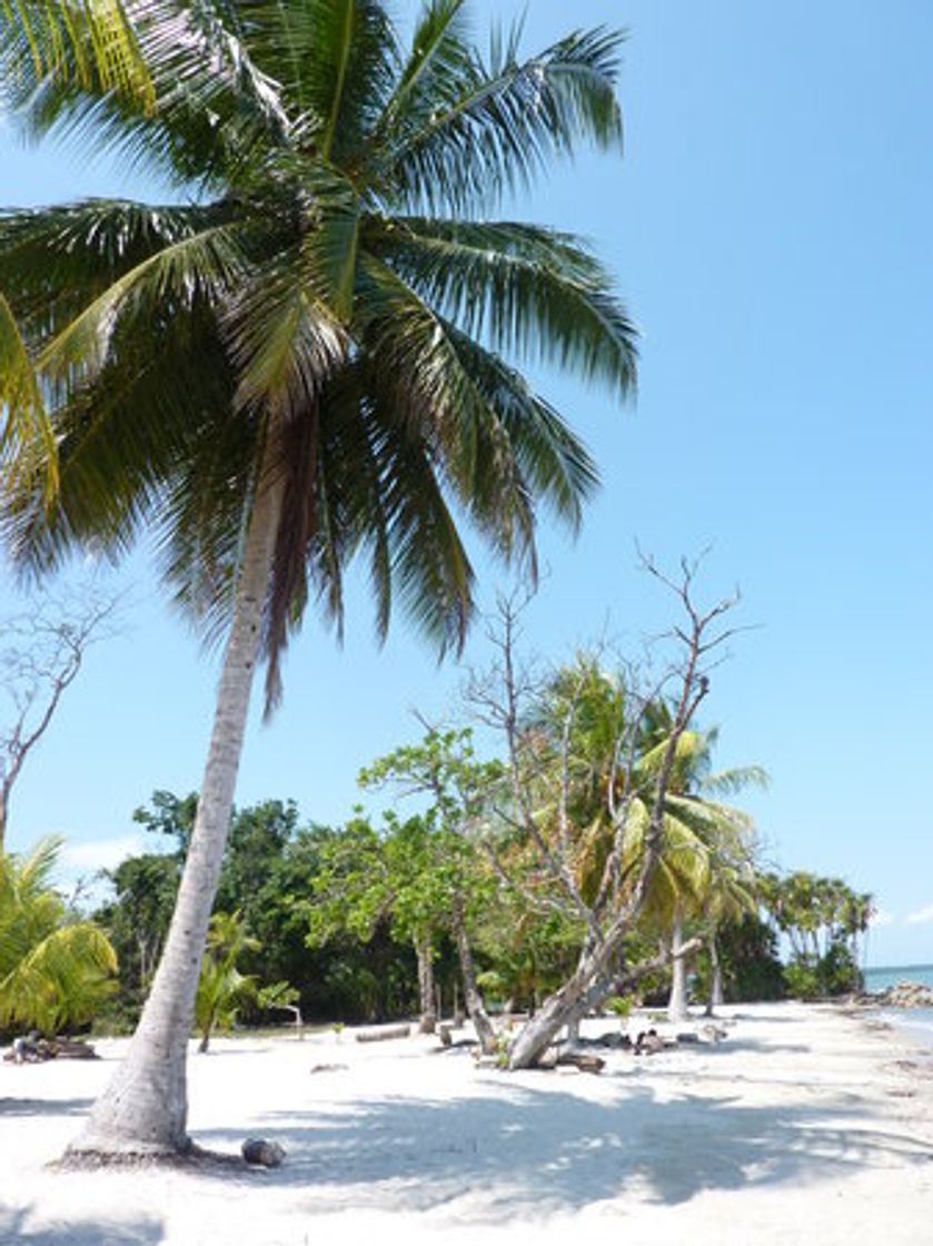 Place Playa Blanca, Izabal, Guatemala