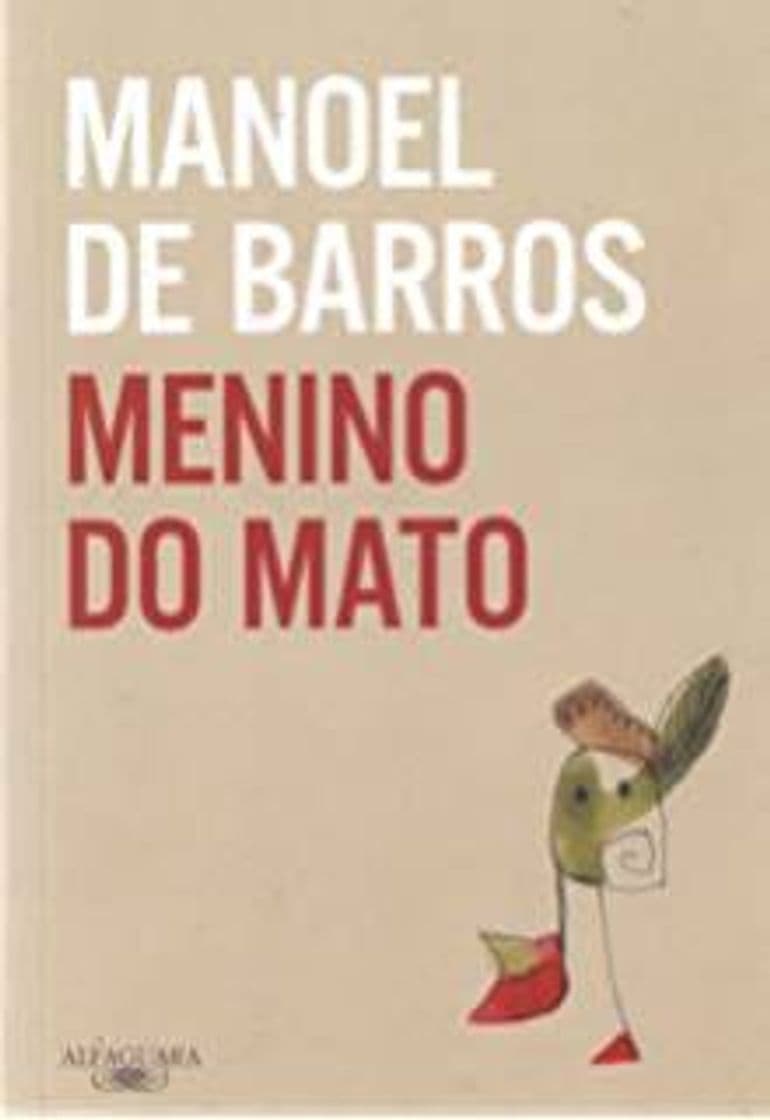 Book Menino do mato - Manoel barros.