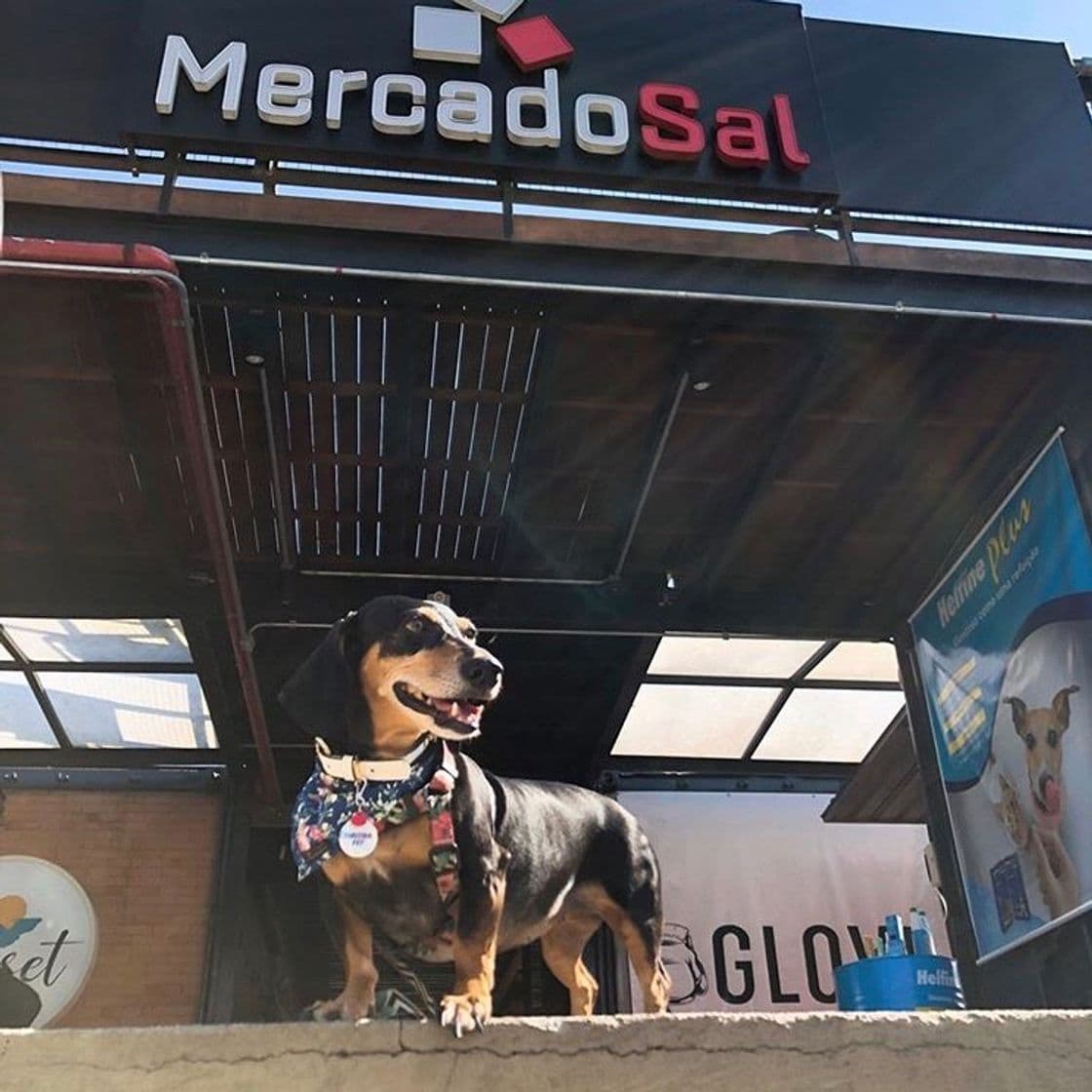 Restaurants Mercado Sal