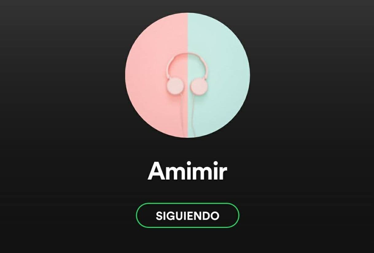 Fashion Música Spotify