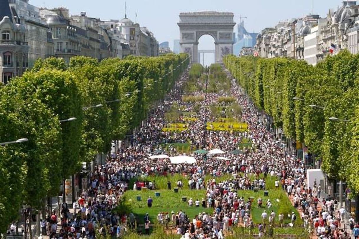 Lugar Avenue des Champs-Élysées