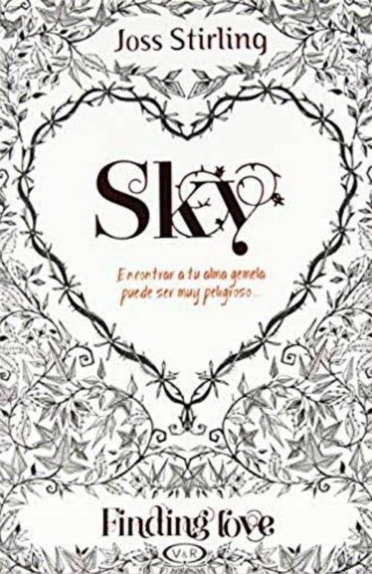 Libro Almas gemelas, 1. En busca de Sky