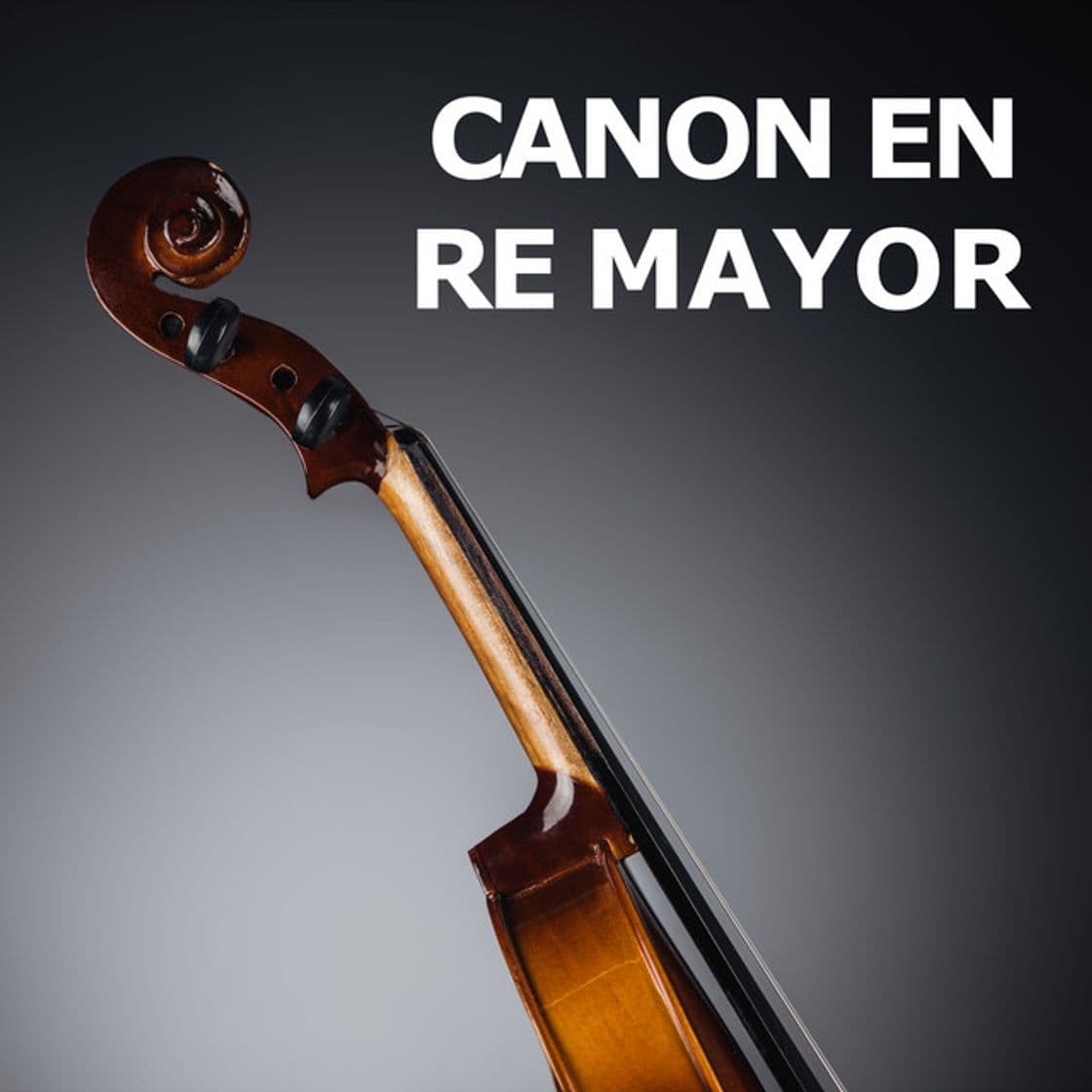 Canción Canon en re mayor de Pachelbel - cuarteto de cuerda