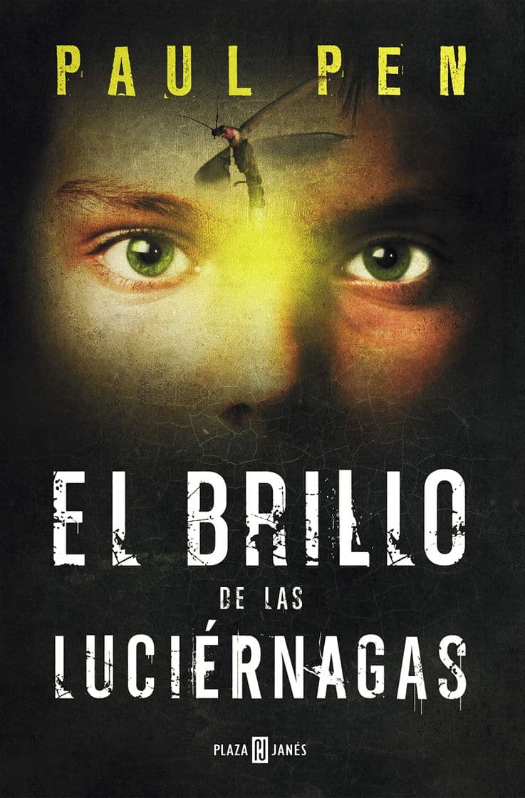 Book El brillo de las luciérnagas