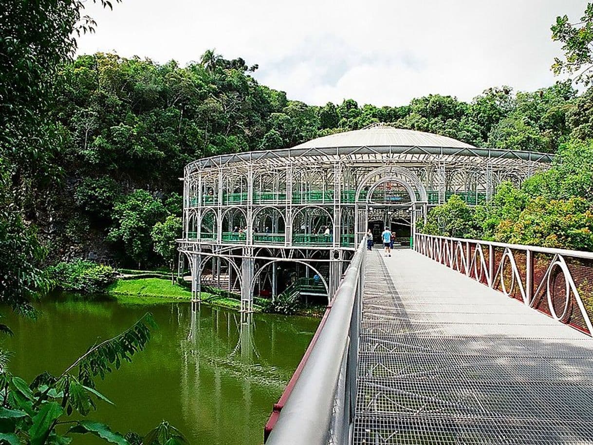 Lugar Ópera de Arame - Parque das Pedreiras