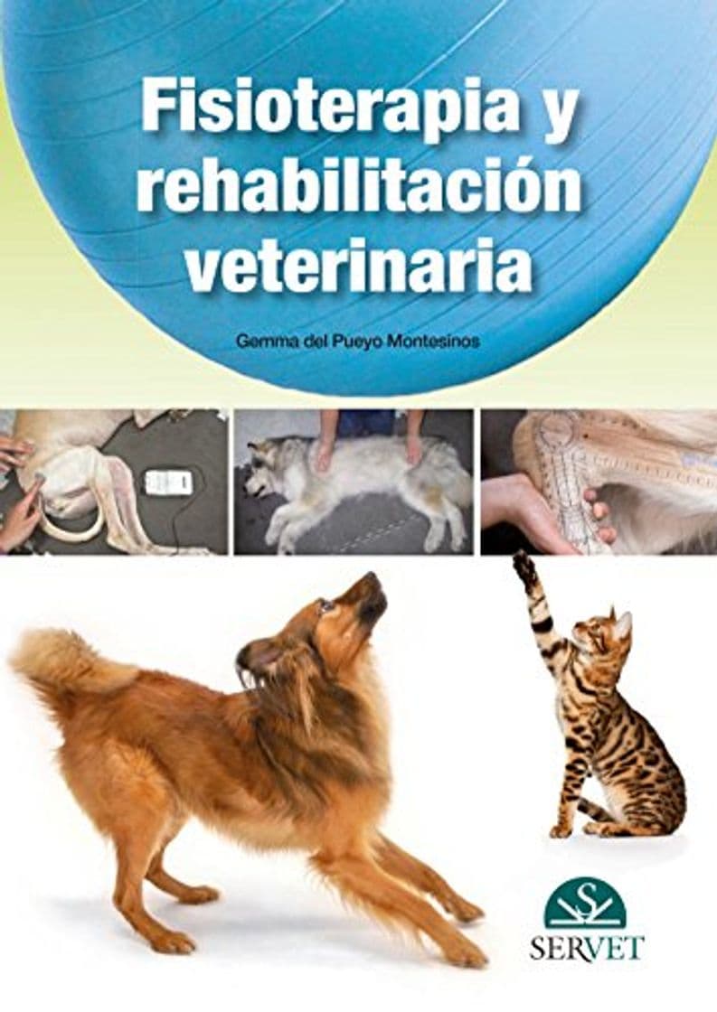 Libro Fisioterapia y rehabilitación veterinaria