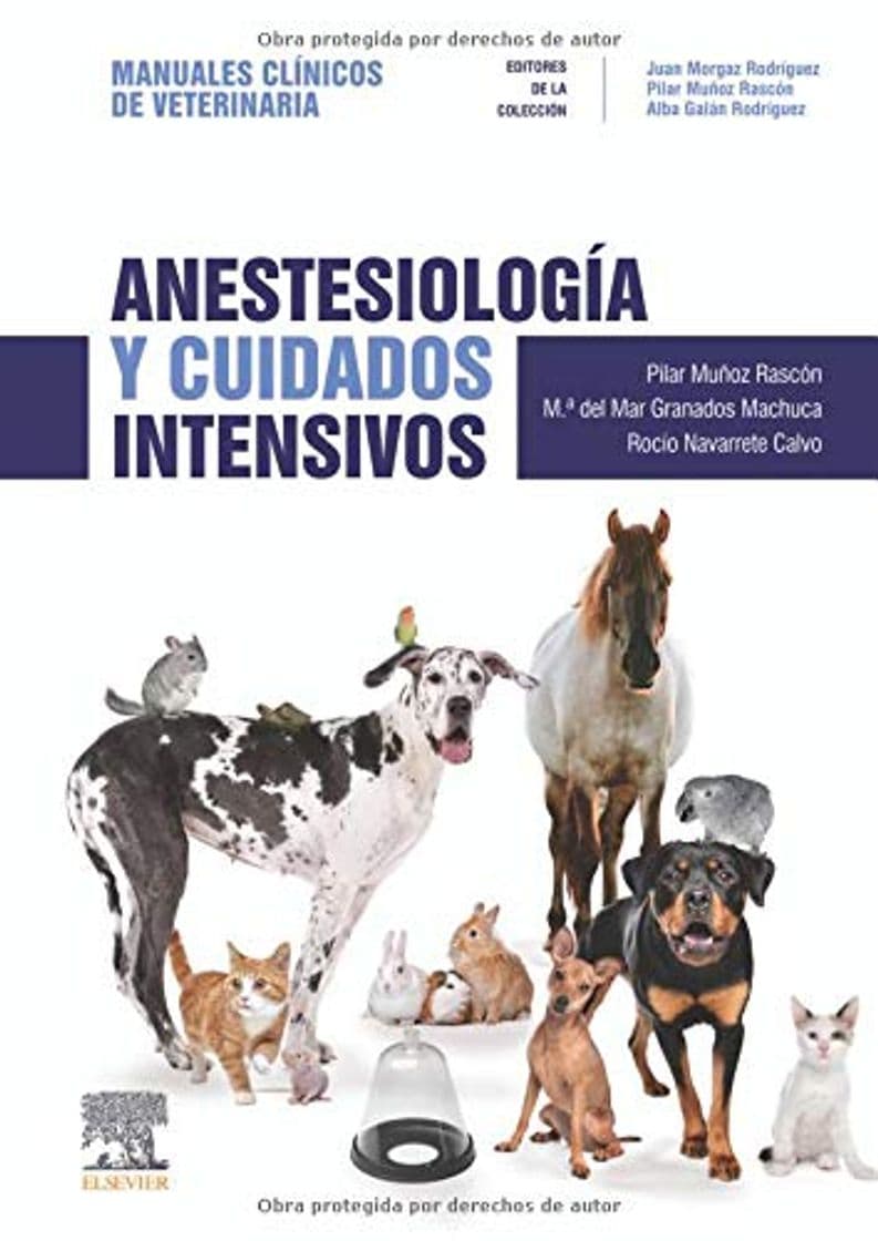 Libro Anestesiología Y Cuidados Intensivos: Manuales clínicos de Veterinaria