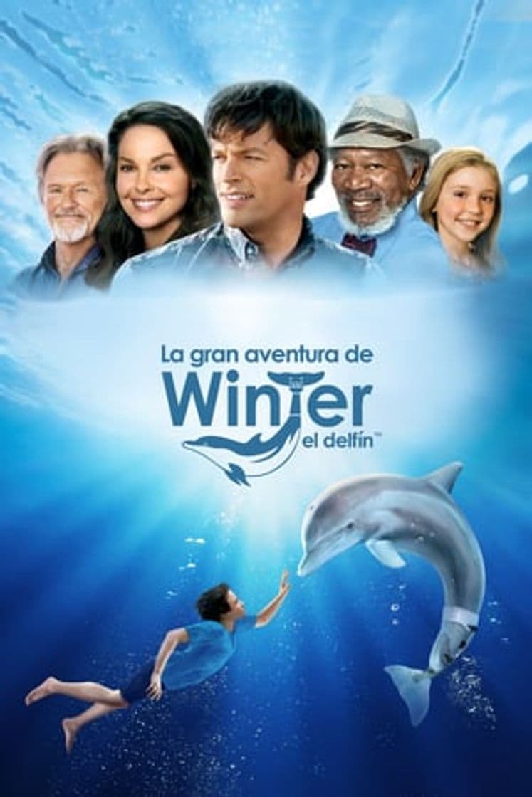 Película Dolphin Tale