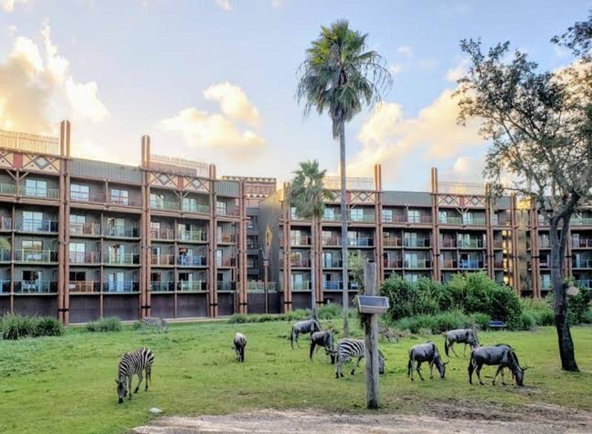 Place Animal kingdom lodge