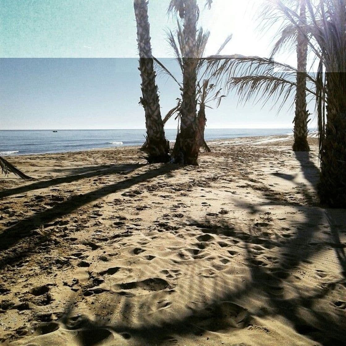 Lugar Playa Libre de El Altet