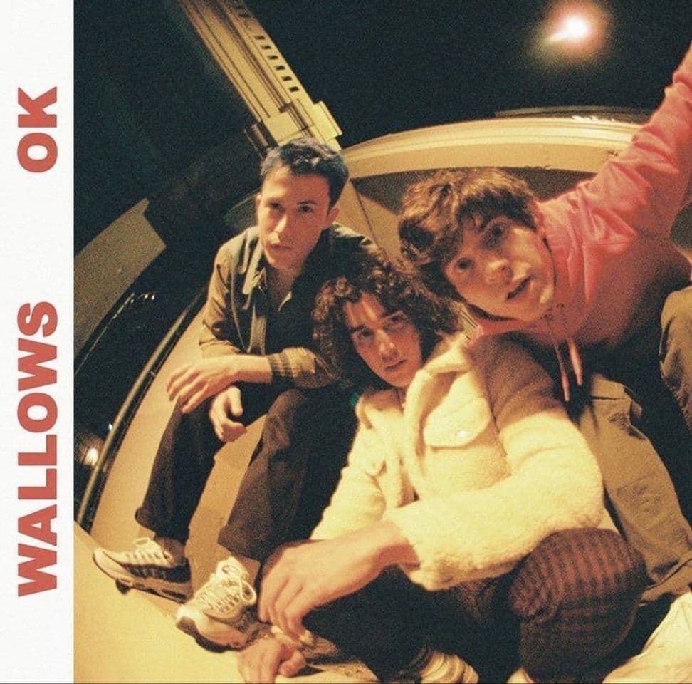 Canción Wallows - Ok 