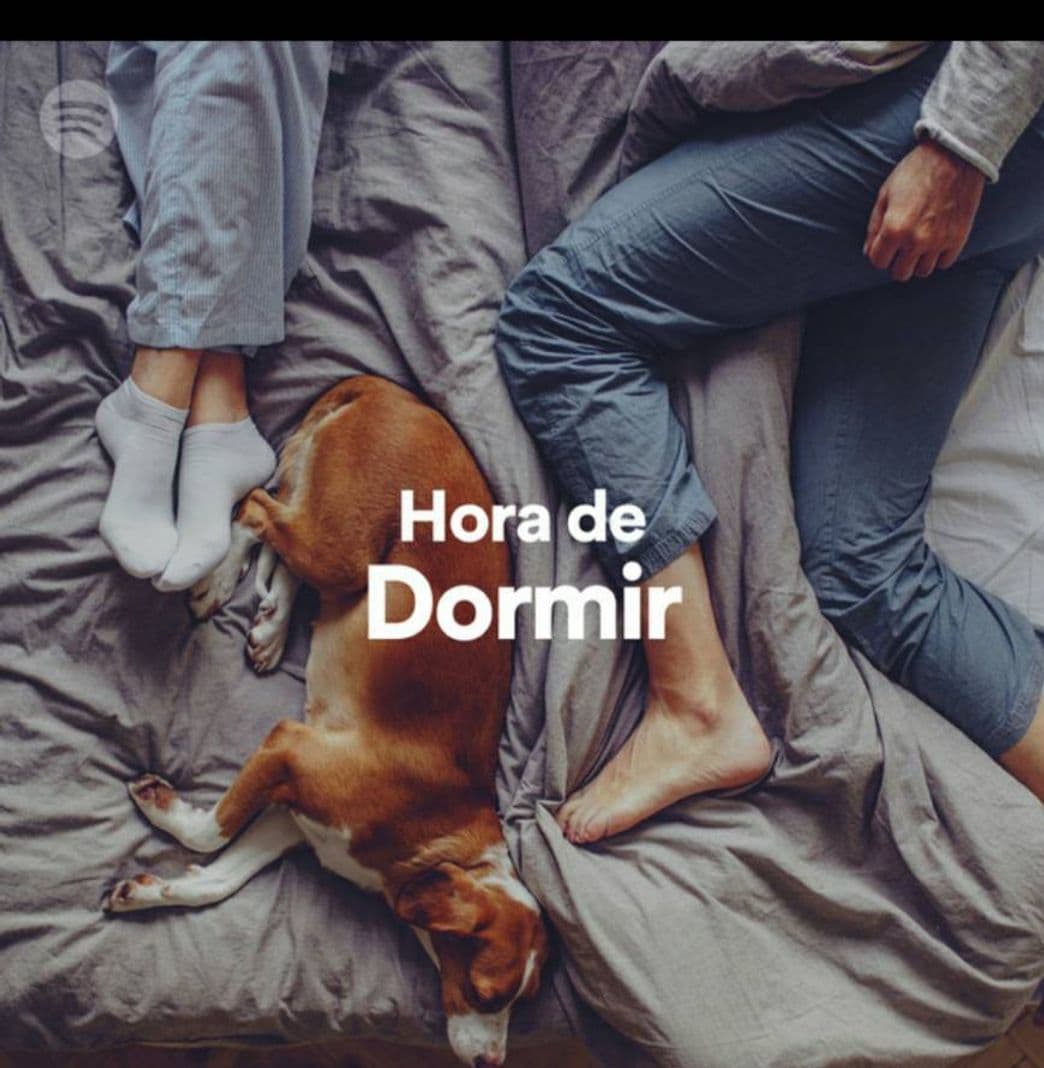 Canción Playlist para dormir 